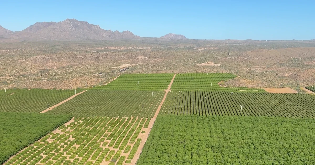 Queen Creek's irrigation customers are headed to QCID. Here's what changes.